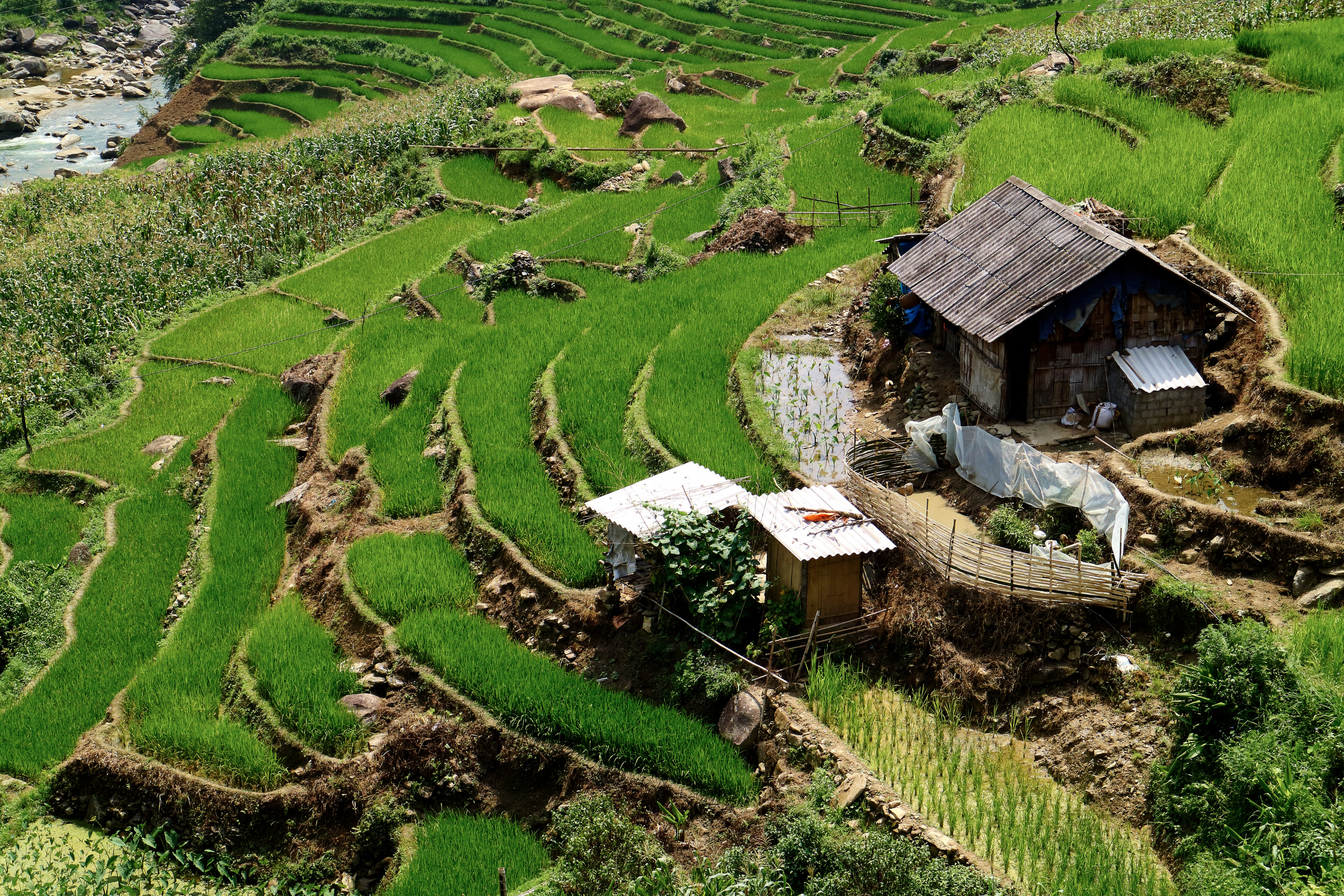 sapa (3).webp